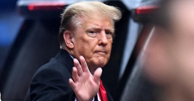 donald trump hands cut pp