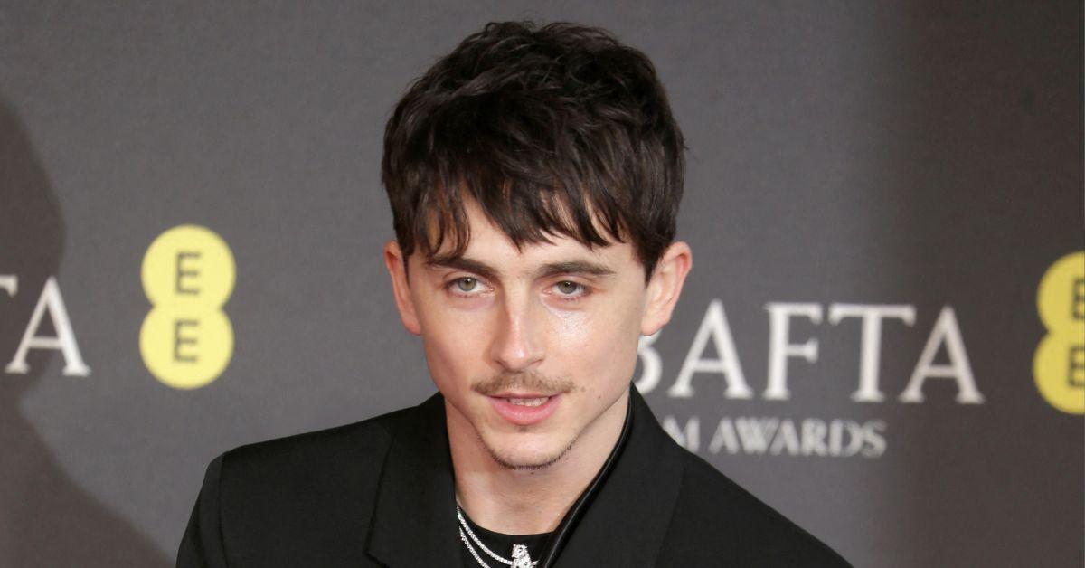 picture of Timothée Chalamet