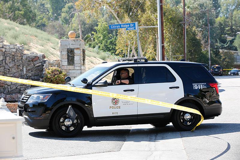 chris brown gun cops standoff tarzana