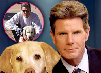 //labrador buried owner