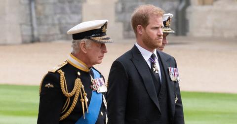 prince harry shades king charles brought up africa netflix docuseries pp