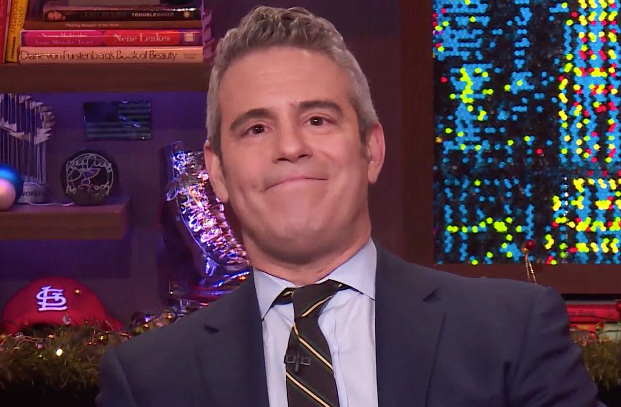 Andy Cohen Expecting First Child Via Surrogate