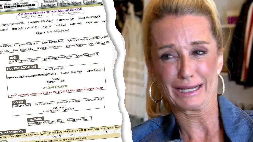 Busted Again! Kim Richards Arrested For Shoplifting & Spends Night In Jail  –– Allegedly Stole Toys At Target