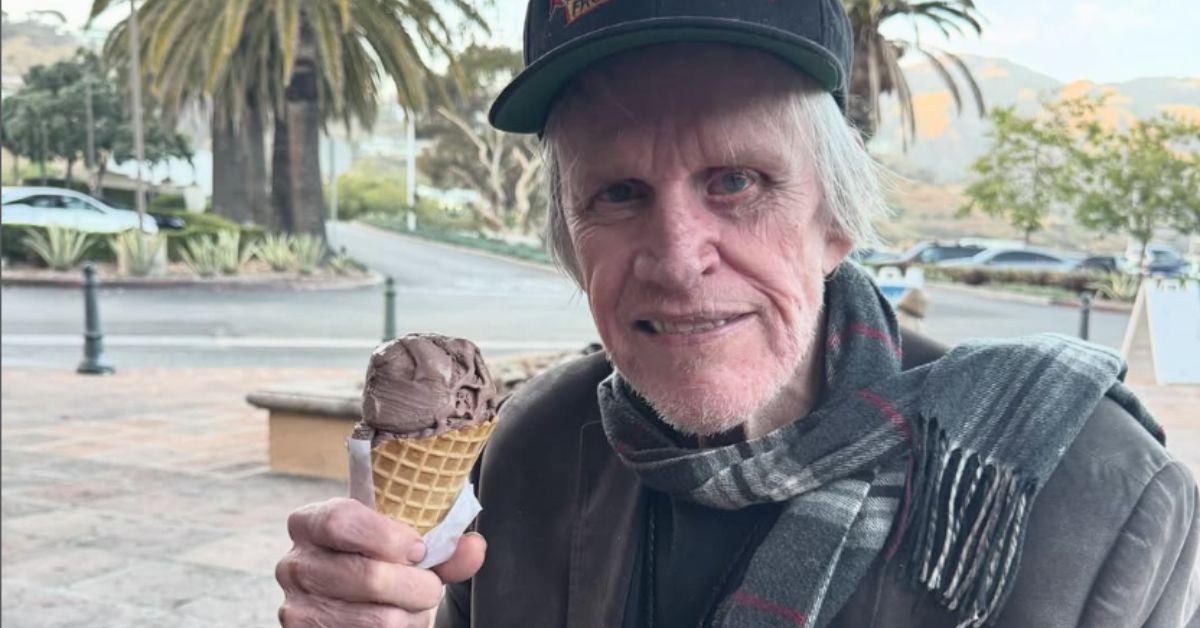Photo of Gary Busey