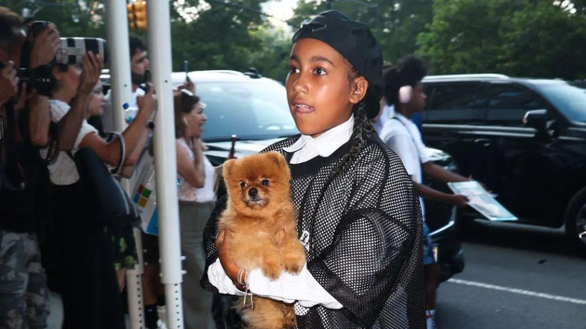 photo of north west
