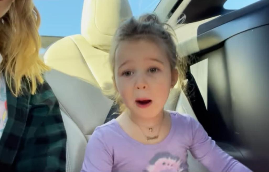 hilary duff  year old daughter unrestrained no car seat mom shamed video