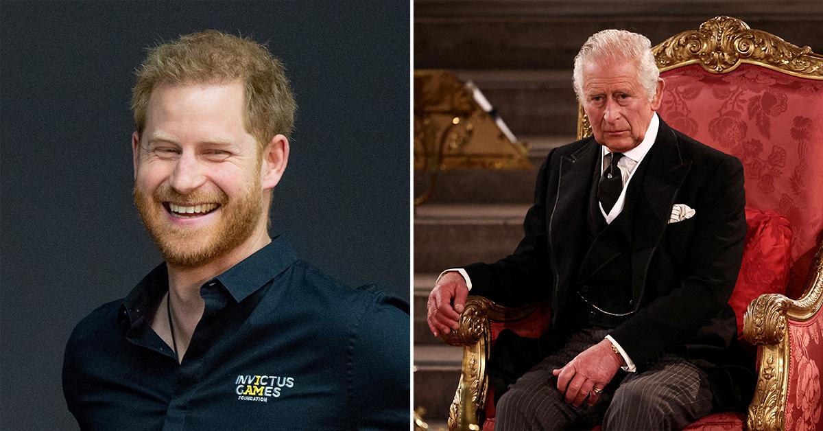 prince harry king charles pp