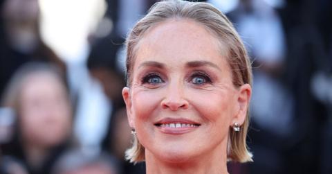 A photo of Sharon Stone