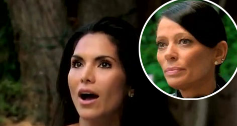 //carlton_rude_to_joyce_rhobh