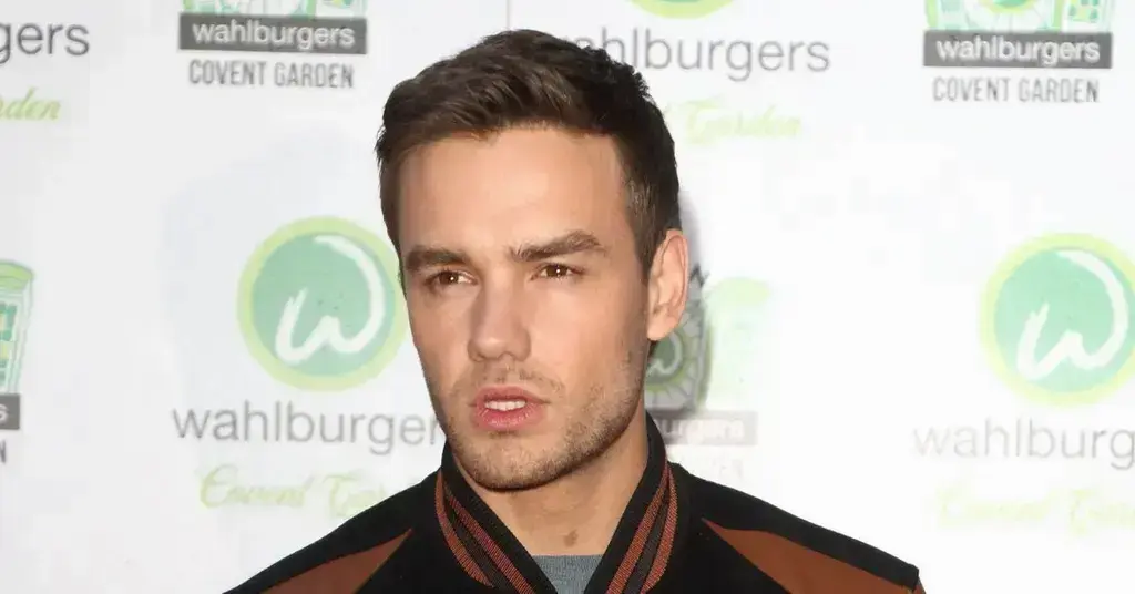 liam payne shared batman obsession