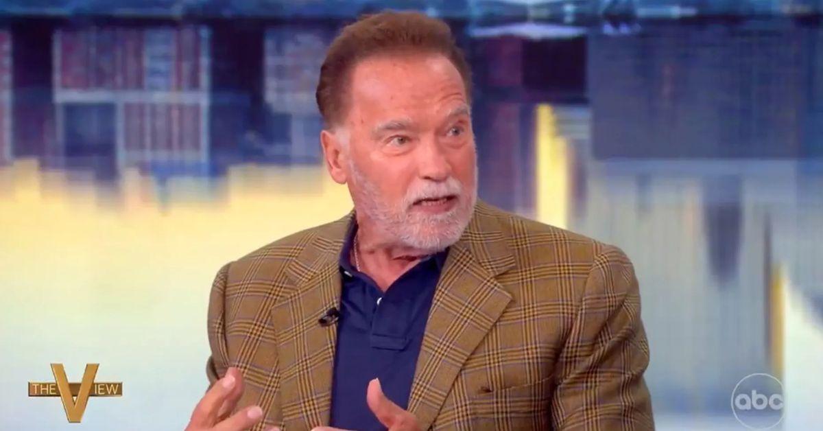 photo of Arnold Schwarzenegger