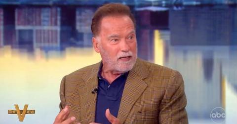 photo of Arnold Schwarzenegger