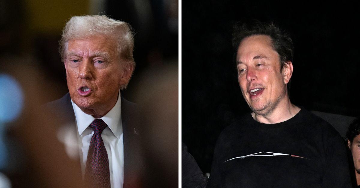 elon musks doge role in donald trumps administration what to know