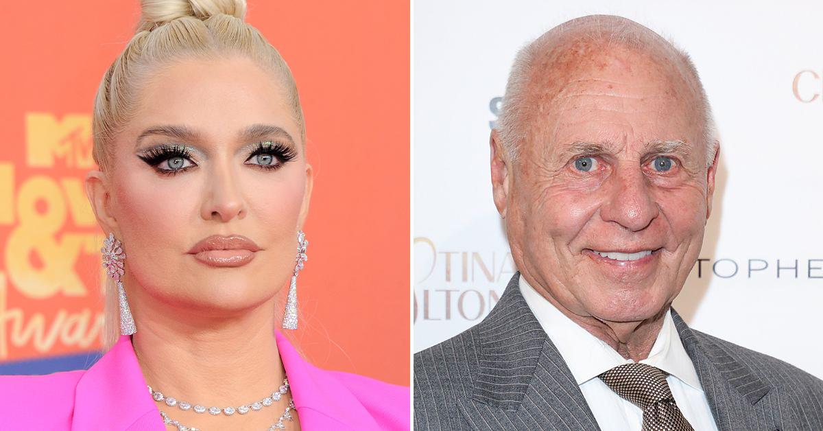 Erika Jayne Knew About Diana Jenkins $100K Donation To Lion Air Victims