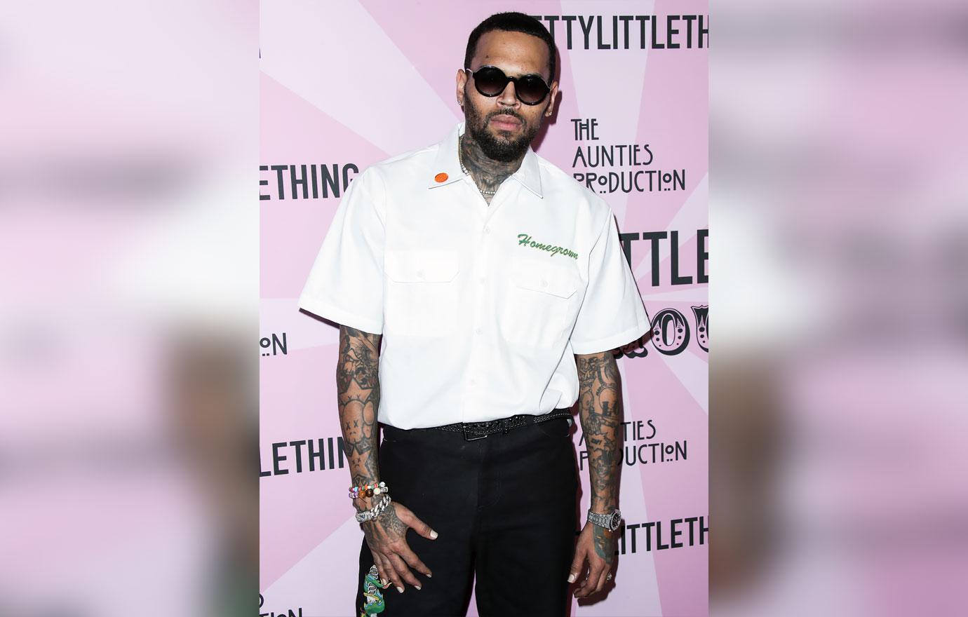 chris brown lawsuit los angeles sheriff police serve housekeeper dog attack r