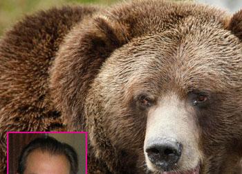 //hiker mauled grizzly alaska