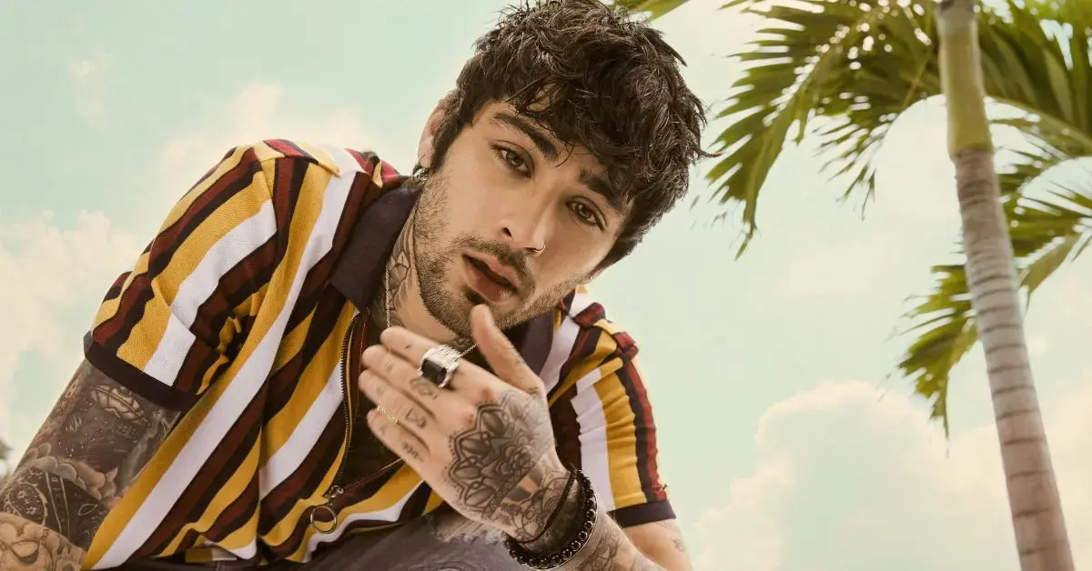 zayn malik final heartbreaking gesture for liam payne