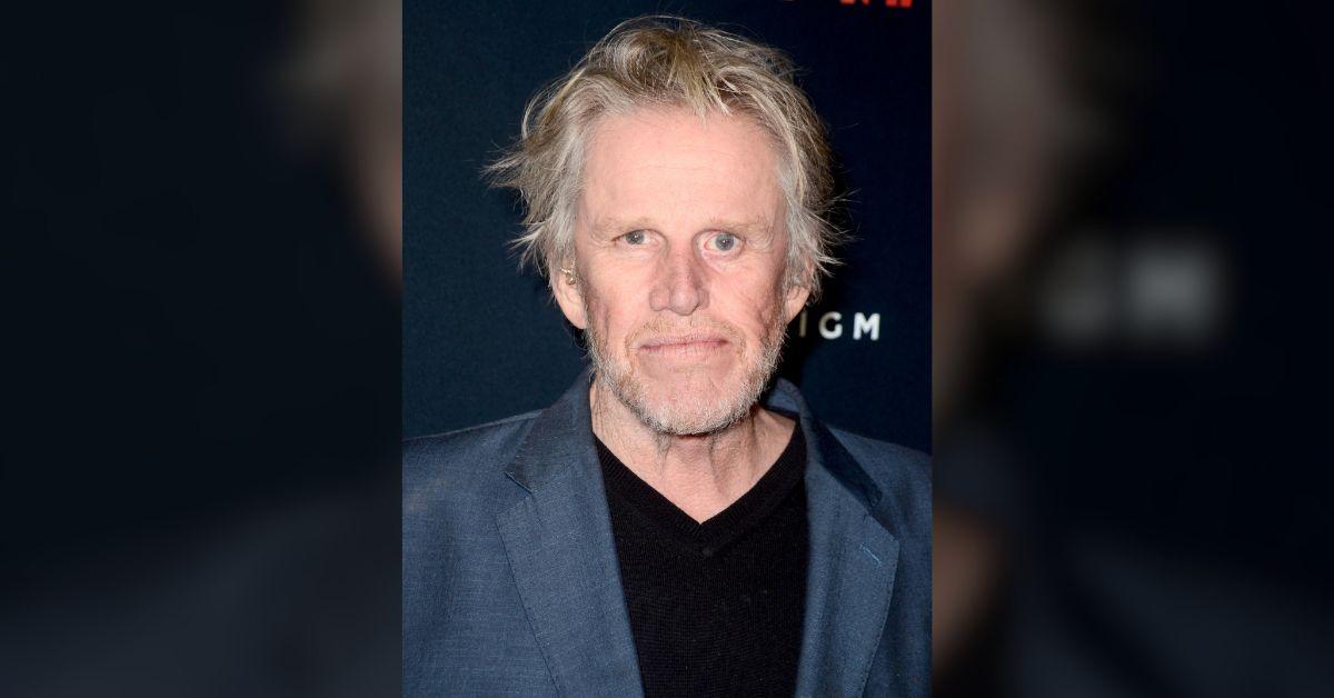 Photo of Gary Busey