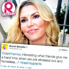 //brandi glanville moving homeless twitter sq