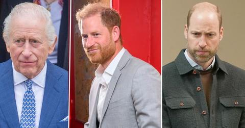 Photo of King Charles, Princes Harry and William