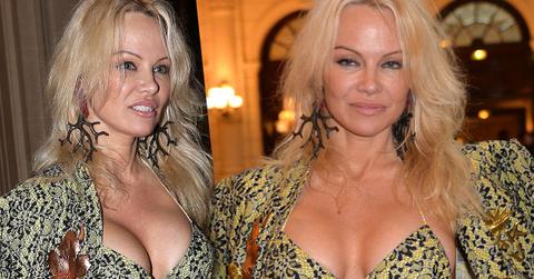 Pamela Anderson Wardrobe Malfunction Boobs Nip Slip Vivienne Westwood Show