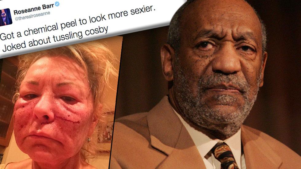 //roseanne barr tweet bill cosby tussling