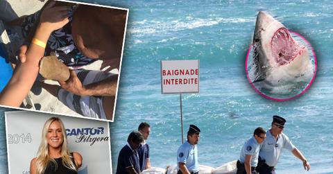 //Top Most Gruesome Shark Attacks So Far pp