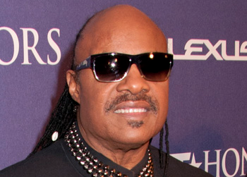 //stevie wonder gay comments wenn