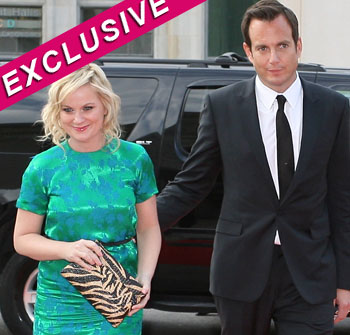 Reason Behind Amy Poehler And Will Arnett's Shocking Split: The ...