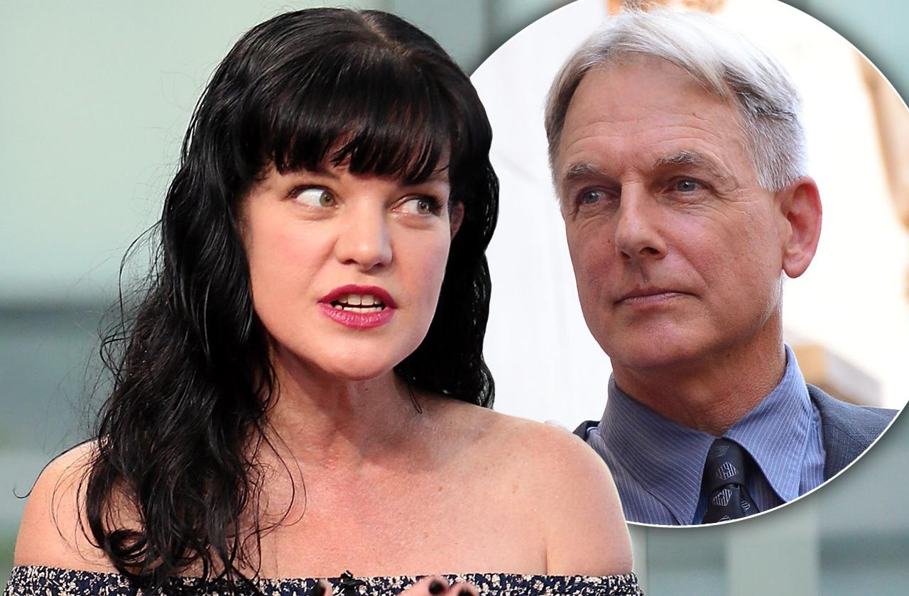 pauley perrette quit ncis mark harmon pitbull