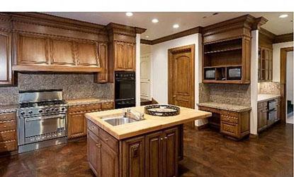 //sharon stone_kitchen x