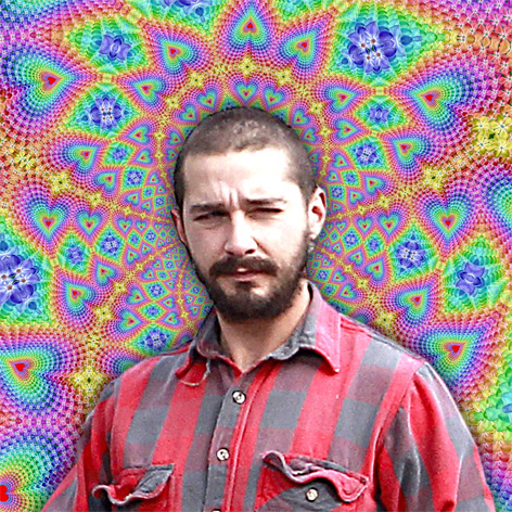 //shia labeouf lsd role