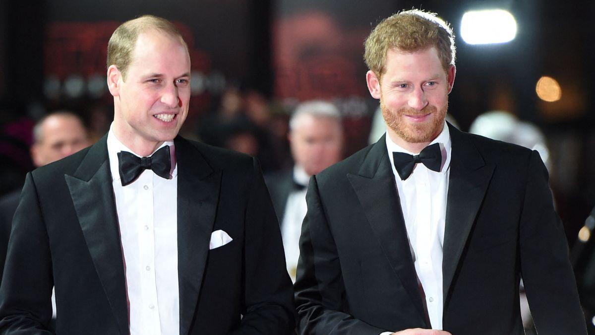 picture of Prince William and Prince Harry