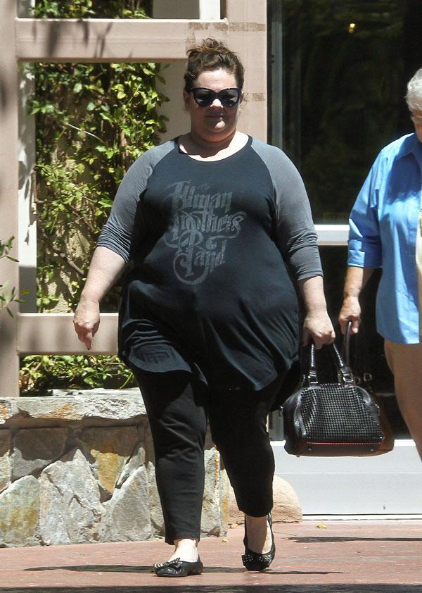 Melissa McCarthy Weight Loss Photos