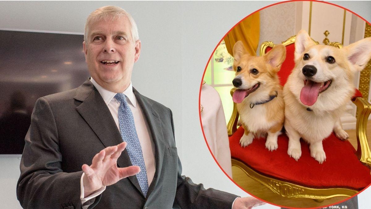 EXCLUSIVE: Why Corgis and Horses are Now at the Center of Andrew Windsor's 'Divorce Deal' From the Royal Family