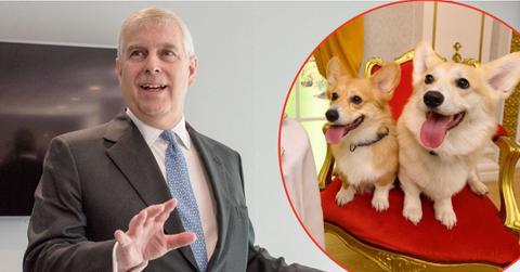 Photo of Prince Andrew and the Queen's corgis