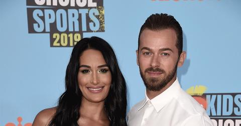 Nikki Bella Was Going To Get Eggs Frozen Before Pregnancy