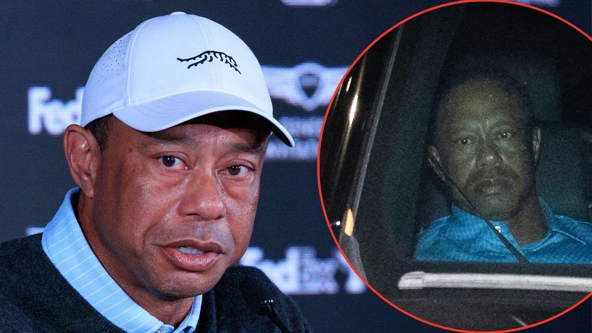 picture of tiger woods