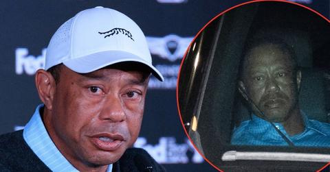 picture of tiger woods