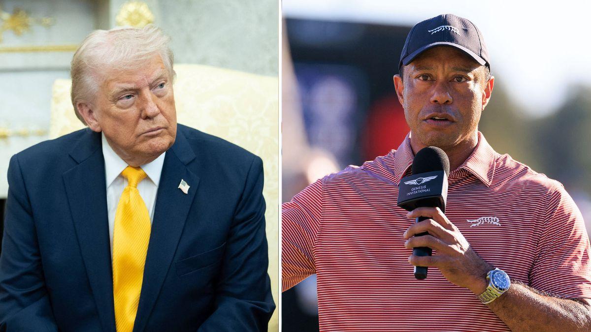 Photo of Donald Trump and Tiger Woods