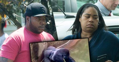 Cincinnati Zoo Gorilla Harambe Toddler Parents Not Charged