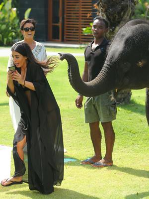 //kim kardashian scared elephants thailand family holiday