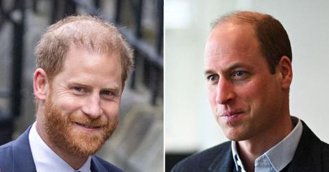 Photo of Prince William and Prince harry