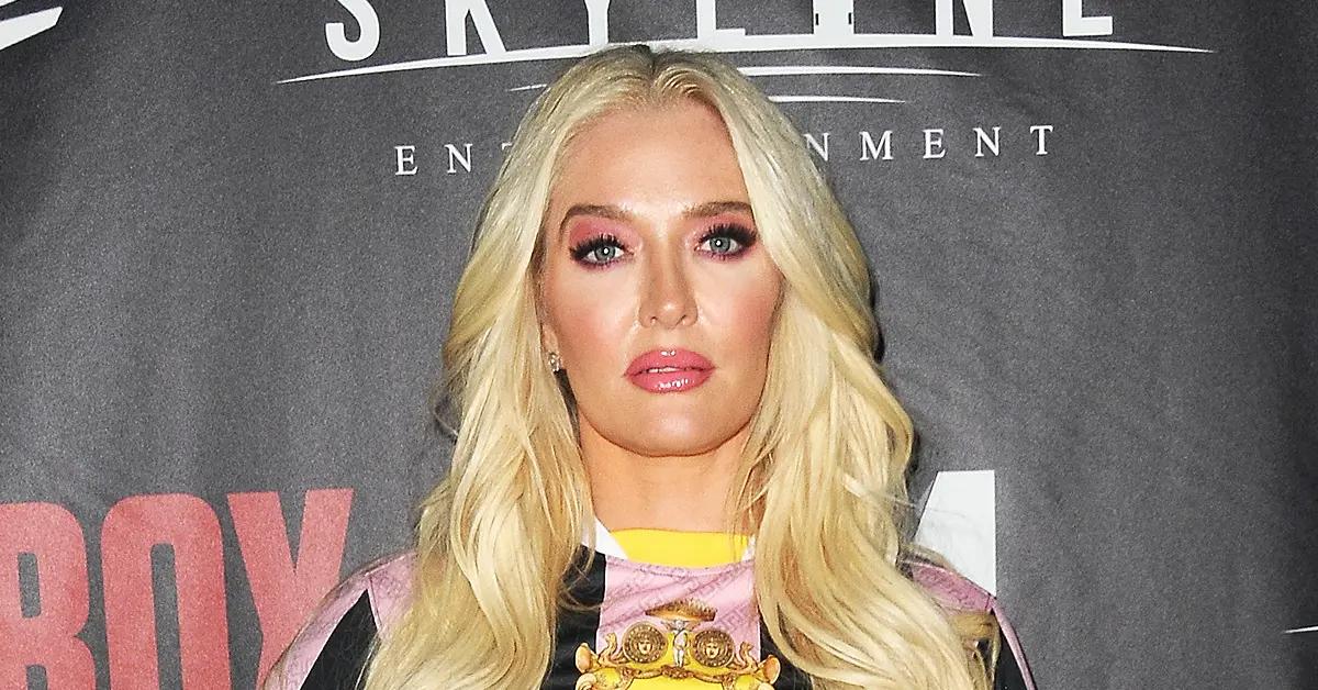 erika jayne sued pp