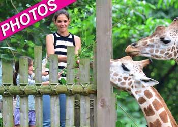 //pp_katie_suri_zoo_wireimage