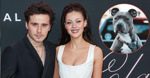 Photo of Brooklyn Beckham, Nicola Peltz, Pit bull