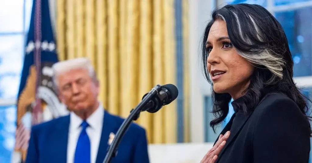 tulsi gabbard obama administration treasonous conspiracy  election