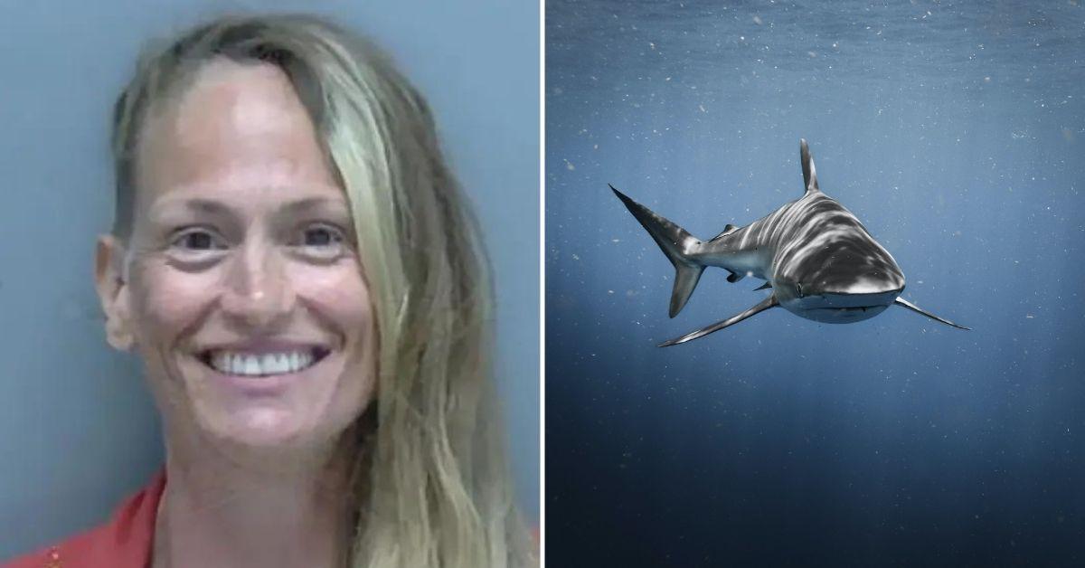 Florida Woman Accused of Leaving Son in Car to Go Swimming with Sharks - Vimarsana News