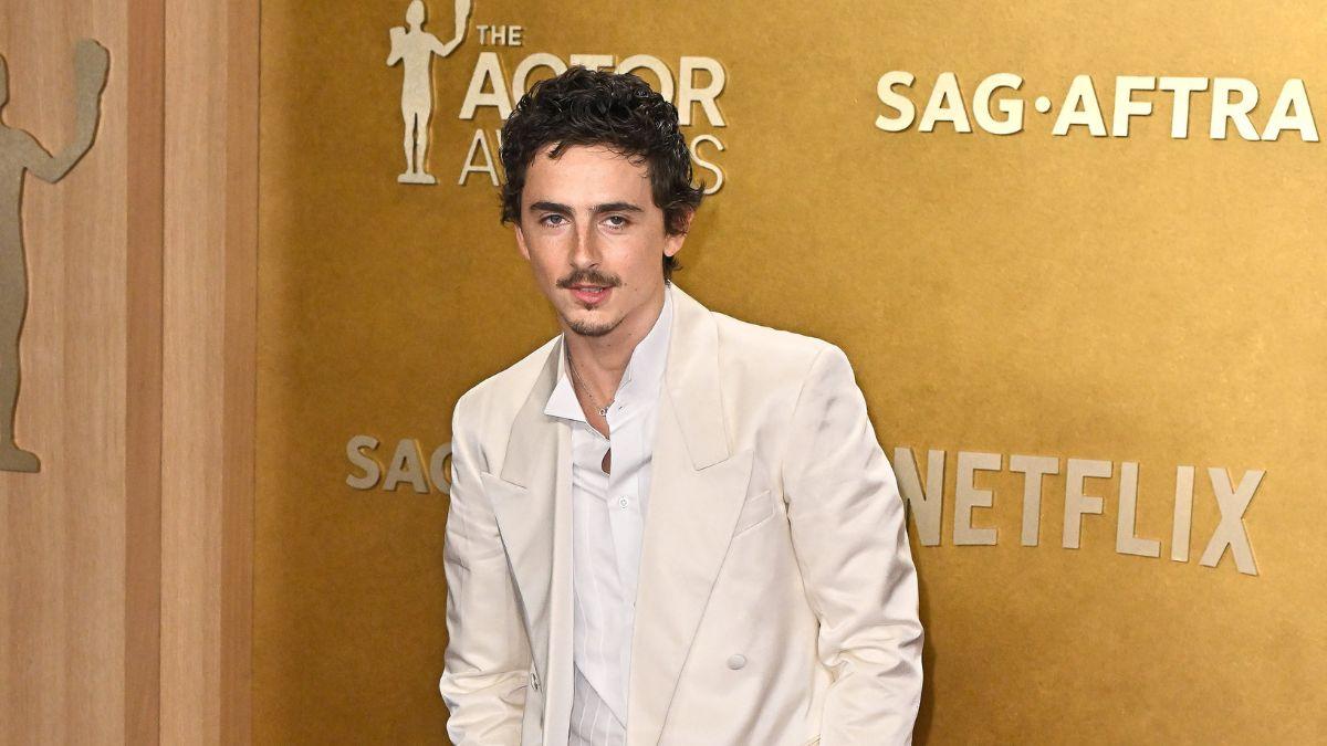 Photo of Timothée Chalamet