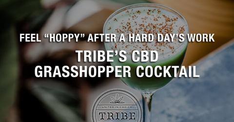Feel “Hoppy” After A Hard Day’s Work With Tribe’s CBD Grasshopper Cocktail